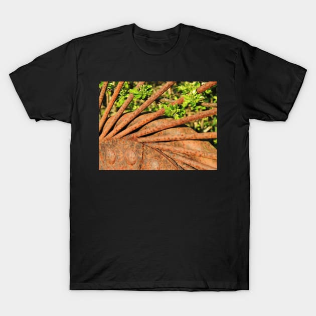 Agri-Sculpture T-Shirt by AlexaZari